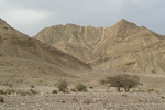 Shehoret Canyon   